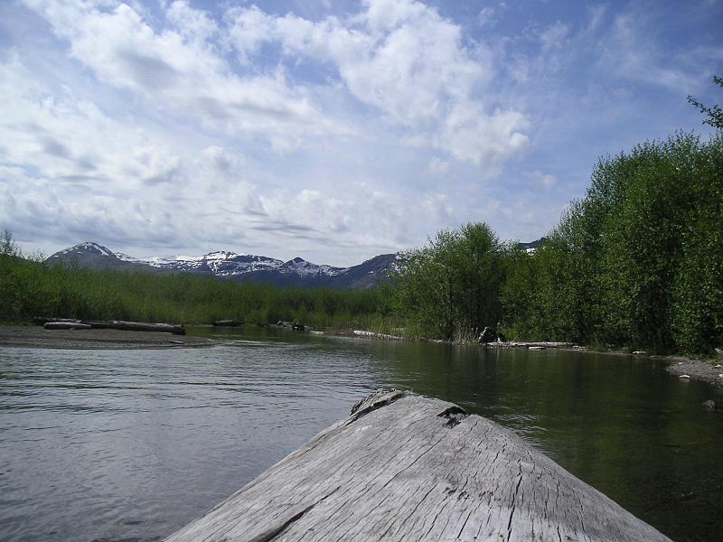 Mount St.Helens (23).JPG